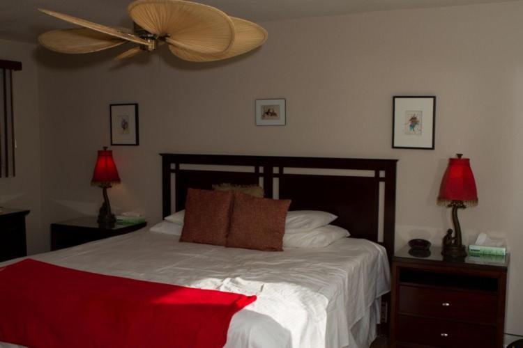 Sea Mountain Nude Resort & Spa Hotel - Adults Only Desert Hot Springs Extérieur photo