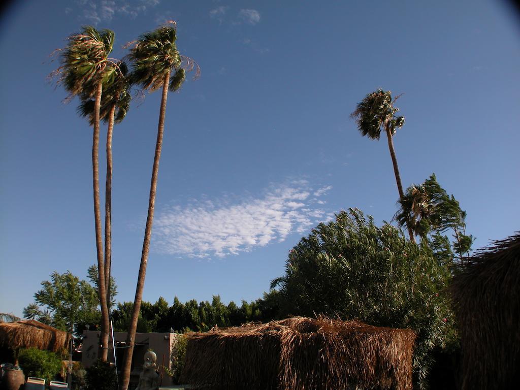Sea Mountain Nude Resort & Spa Hotel - Adults Only Desert Hot Springs Extérieur photo
